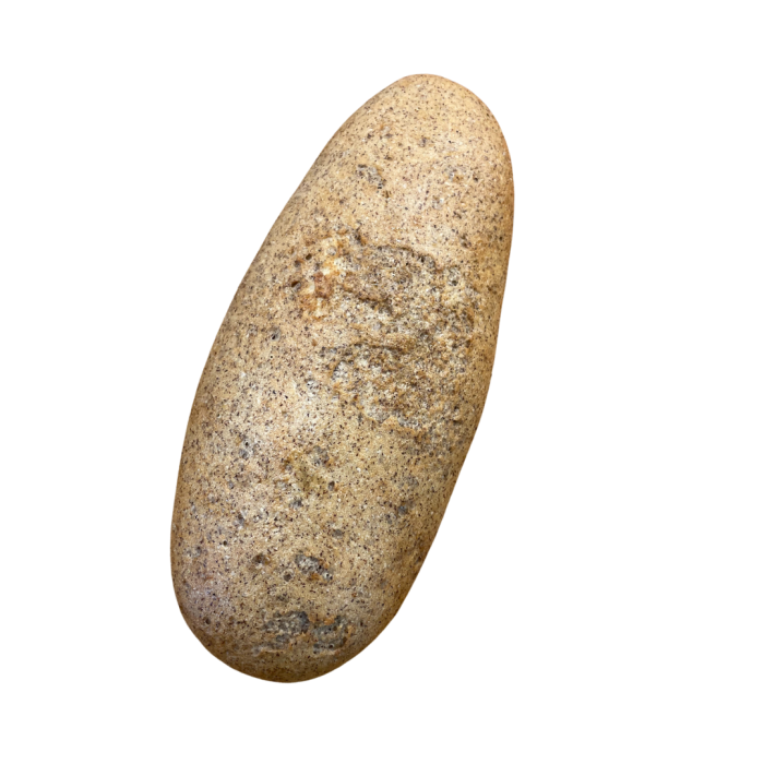 Filone grano saraceno